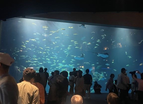 四国水族館